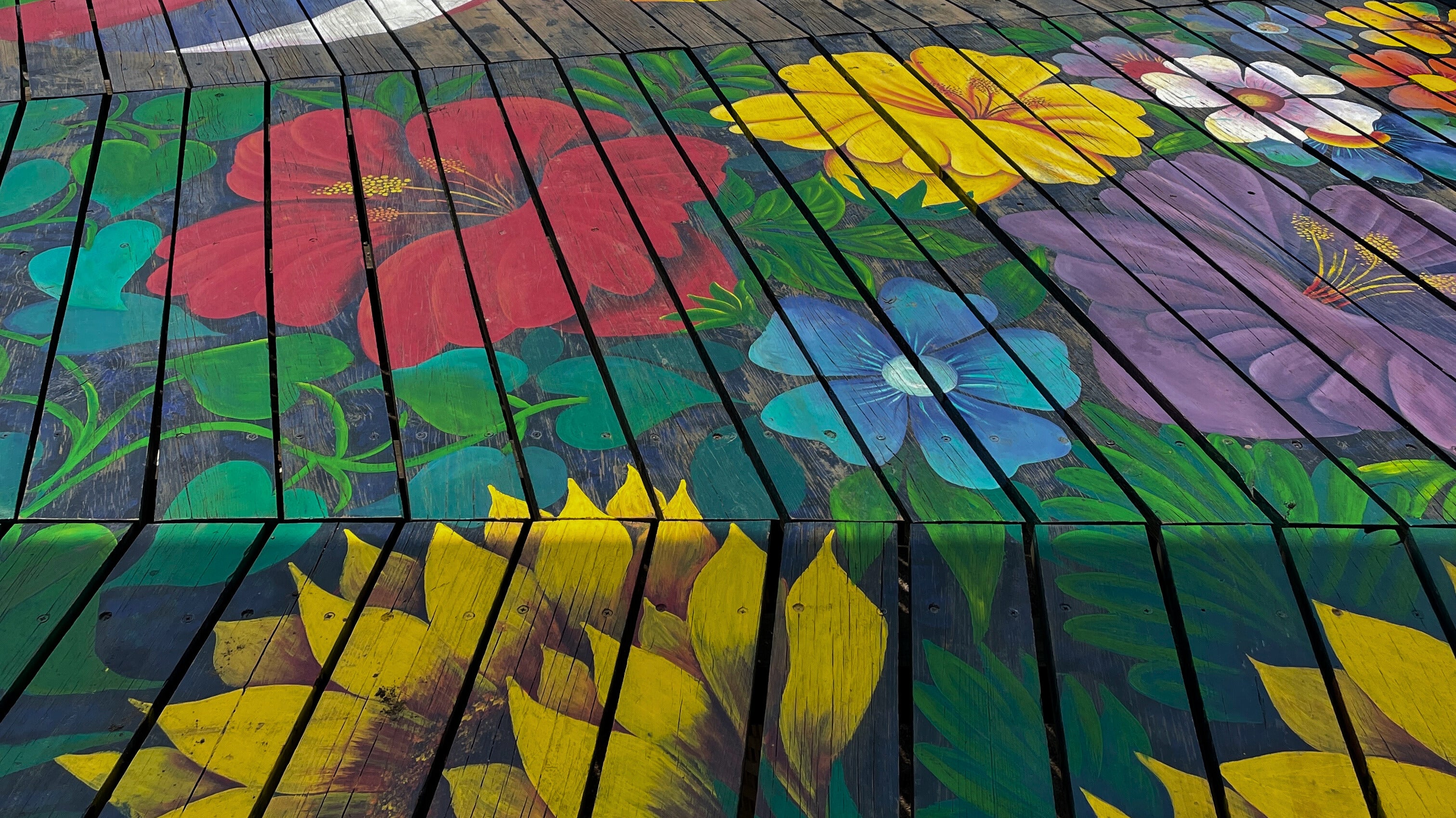 Vegan Dark Chocolates