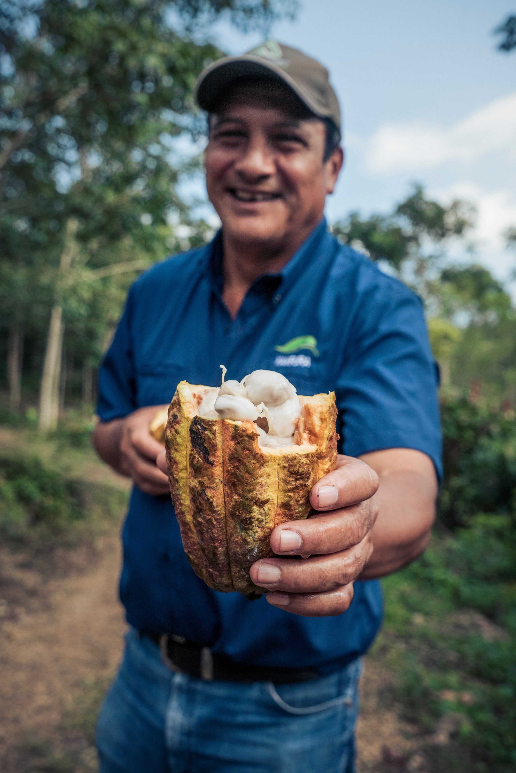 From Cattle to Cacaos