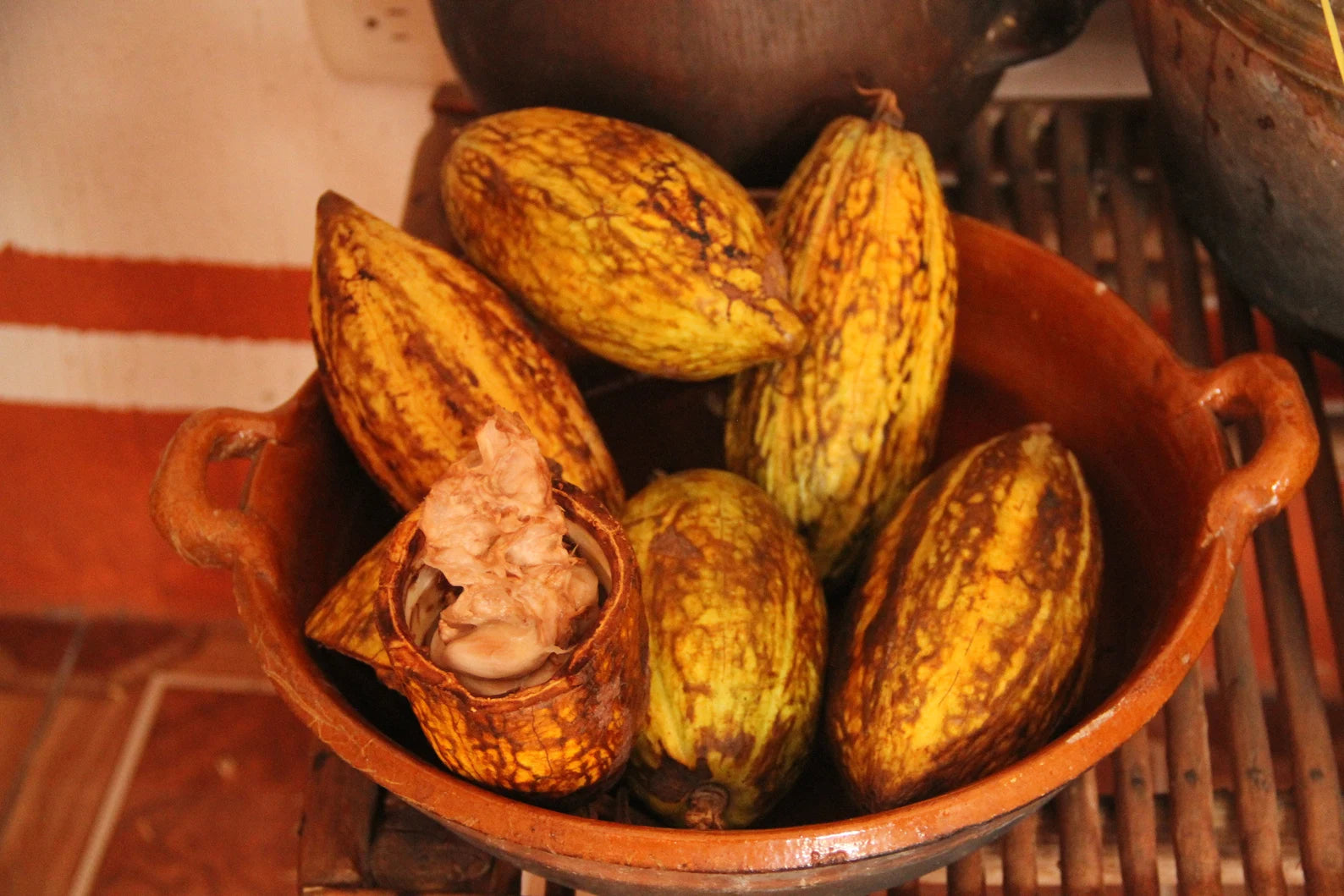 12 Mayan Chocolate Rolls | Share & Save Pack