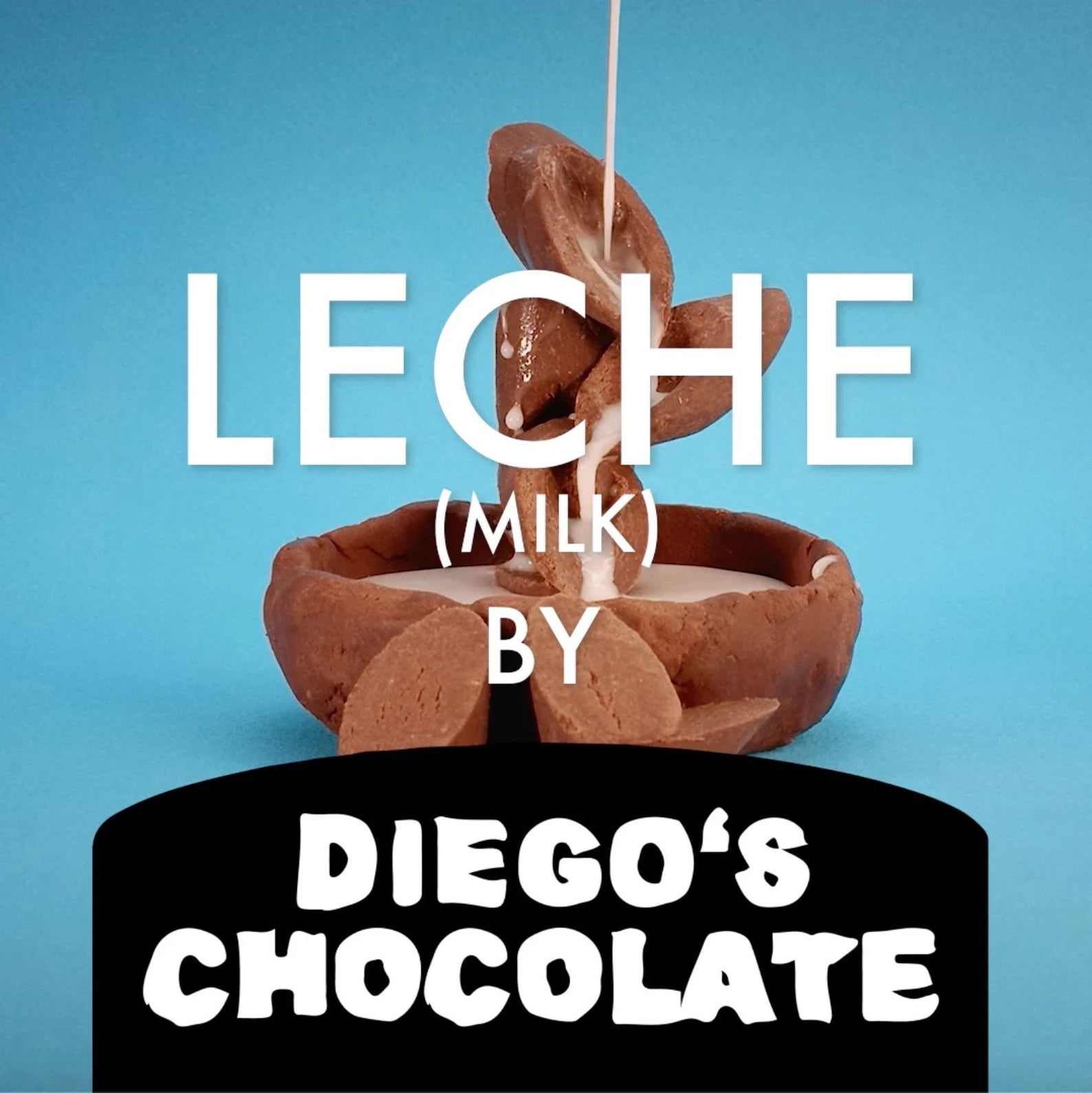 6 Chocolate Roll Sampler | Customer Favorite Selection